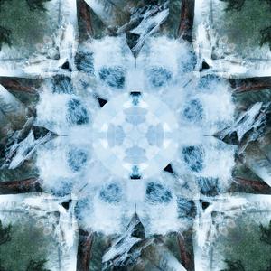 大王酸浆把女生干逼用黄瓜插她的逼
