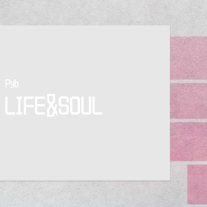 大王酸浆把女生干逼用黄瓜插她的逼
